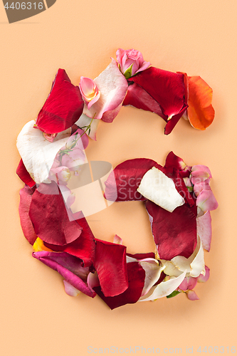 Image of Letter G made from red roses and petals isolated on a white background