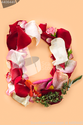 Image of Letter D made from red roses and petals isolated on a white background