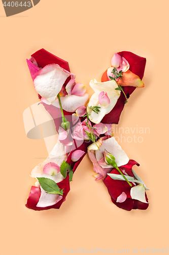 Image of Letter X made from red roses and petals isolated on a white background