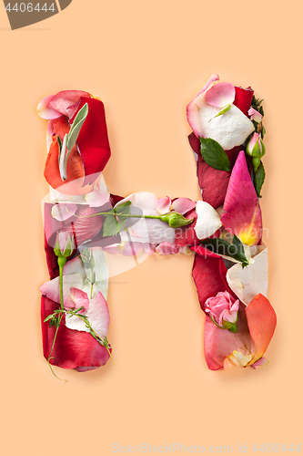 Image of Letter H made from red roses and petals isolated on a white background