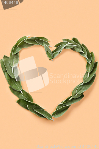 Image of heart shape made from green petals of sage