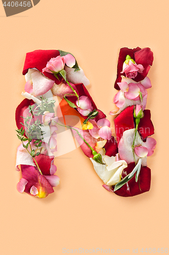 Image of Letter N made from red roses and petals isolated on a white background