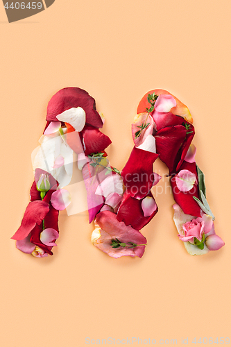 Image of Letter M made from red roses and petals isolated on a white background