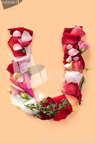 Image of Letter U made from red roses and petals isolated on a white background