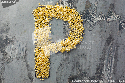 Image of Alphabet made of pasta. Letter P