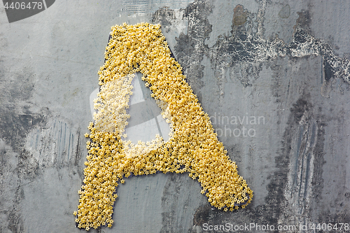 Image of Alphabet made of pasta. Letter A