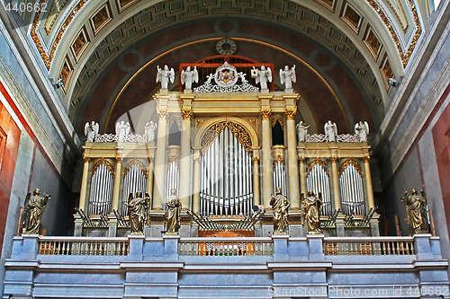 Image of organ