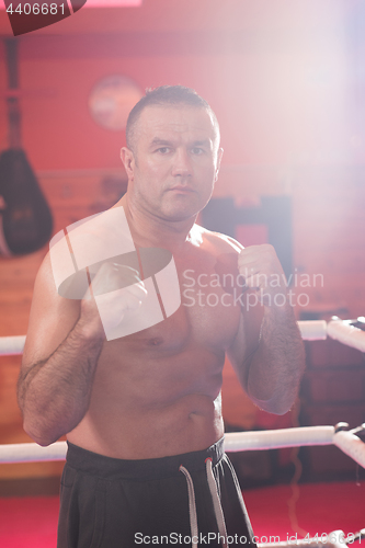 Image of professional kickboxer in the training ring