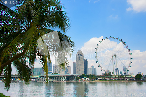 Image of Singapore Flyer and palm tree