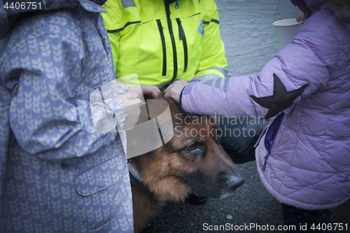 Image of Rescue Dog