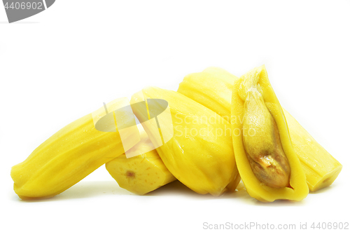 Image of Ripe jackfruit isolated