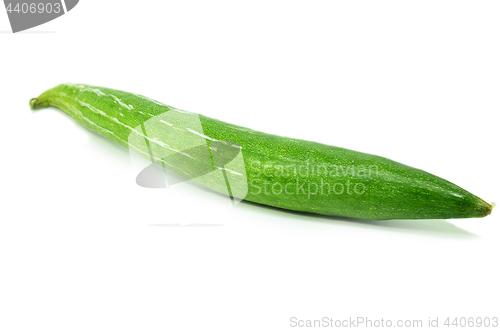 Image of Snake gourd isolated