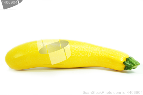 Image of Yellow fresh squash isolated