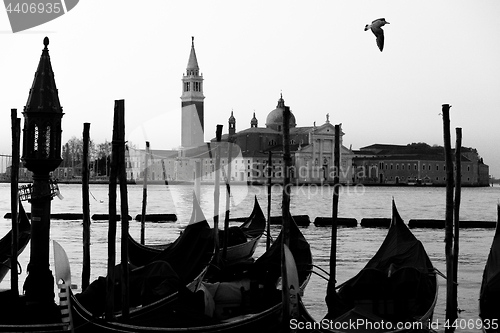 Image of Gondolas in Venice, Italy at sunrise