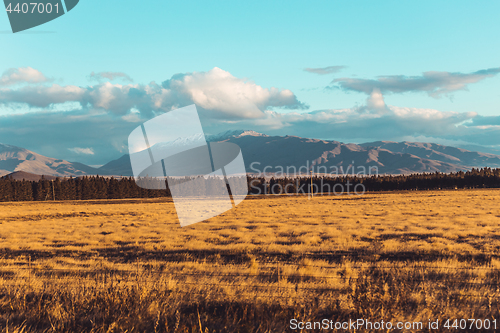 Image of New Zealand Road landscape