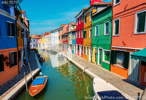 Image of Houses in summer Burano