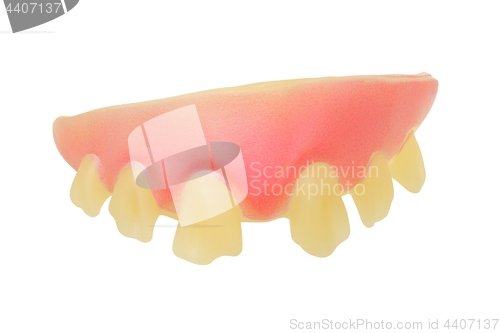 Image of Denture on white