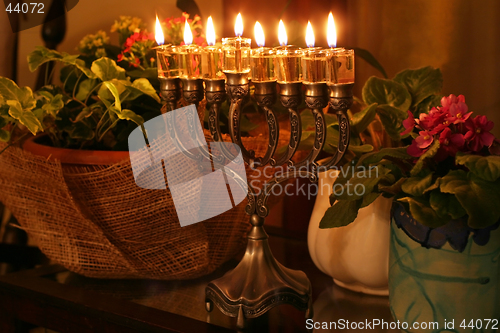 Image of Hanukkah menorah