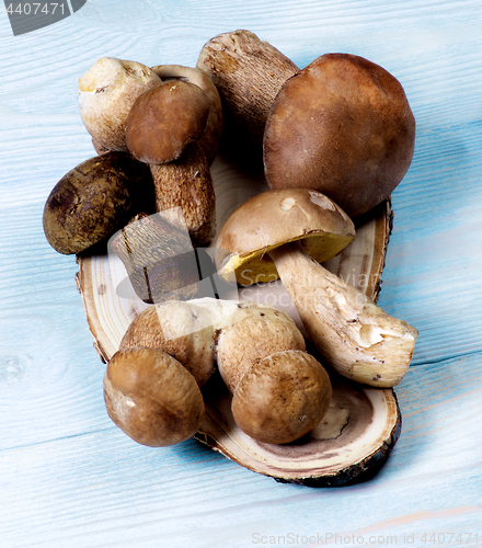 Image of Fresh Boletus Mushrooms