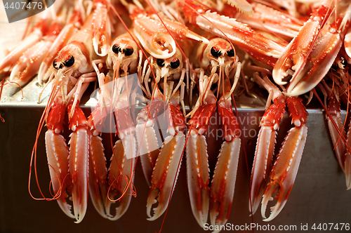 Image of Fresh Raw Langoustines