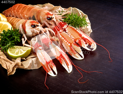 Image of Delicious Raw Langoustines