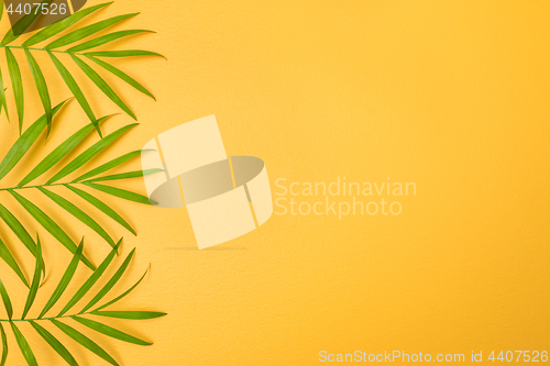 Image of Green palm leaves on bright yellow background