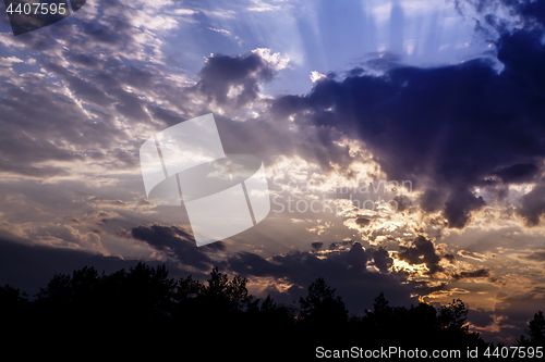 Image of dark blue clouds over forest 