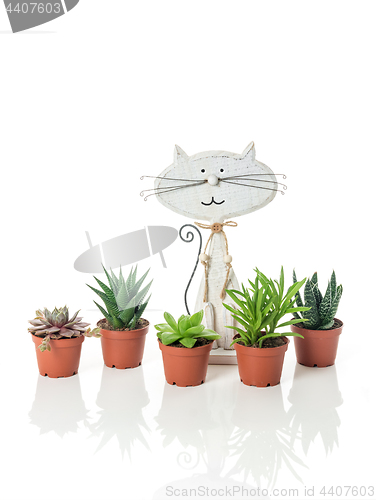 Image of Succulent plants and wooden cat on white background