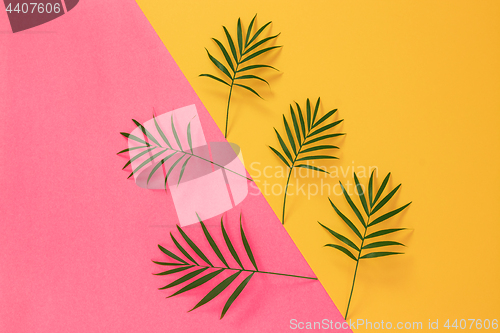 Image of Palm leaves on vibrant pink and yellow background