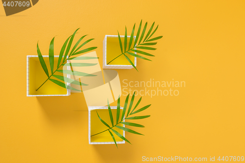 Image of Palm leaves in white boxes on yellow background