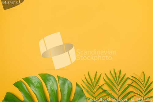Image of Palm tree leaves on vibrant yellow background