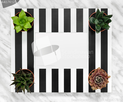 Image of Striped picture frame and succulent plants