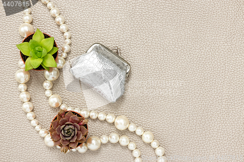 Image of Silver purse, pearl necklace and succulent plants