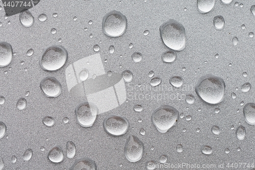 Image of Shiny Water Droplets