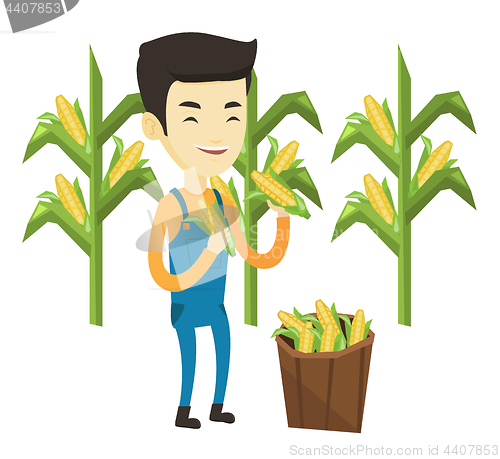 Image of Farmer collecting corn vector illustration.