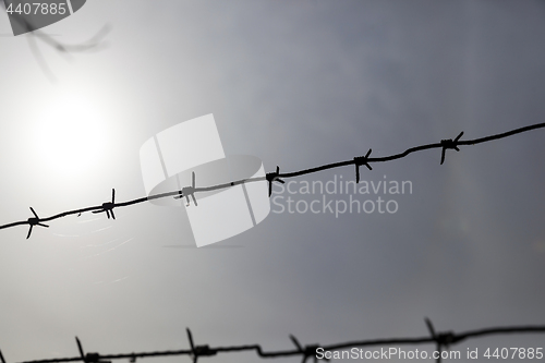 Image of barbed wire, close-up