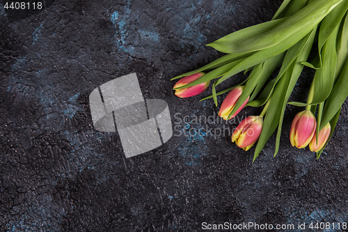 Image of Tulips on darken concrete background