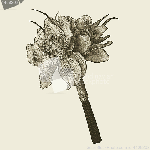 Image of hand drawn retro flowers bouquet