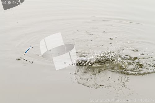 Image of Fishing on a lake