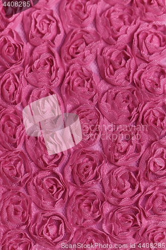 Image of Pink rose background