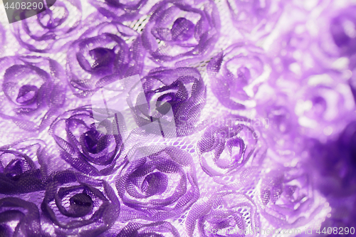 Image of Purple rose background