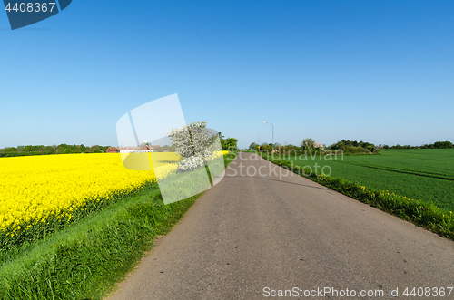 Image of Road through a beautiful landscape by springtime