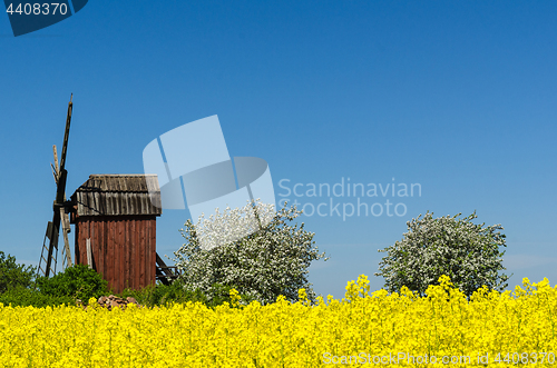 Image of Old wooden windmill surrounded of beautiful spring season colors