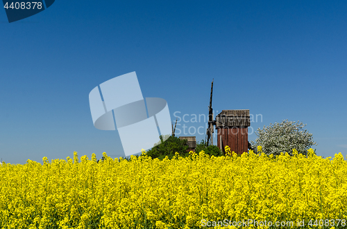 Image of Wooden windmills by a blossom canola field