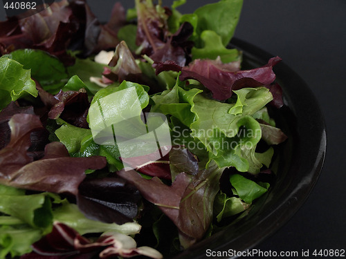 Image of Greens Salad