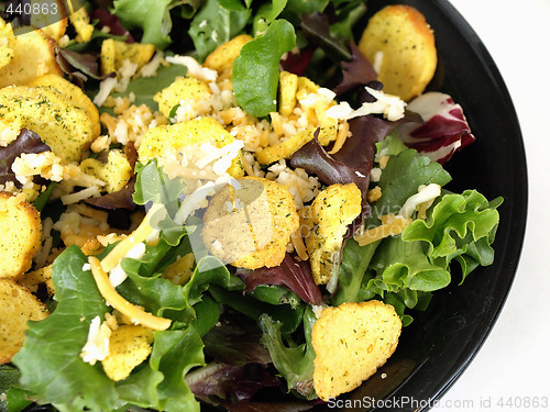 Image of Greens Salad with Toppings