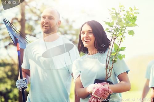 Image of group of volunteers with trees and rake in park