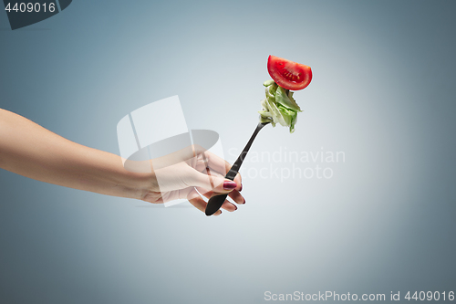 Image of Beautiful woman hand holding a red rose