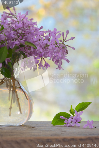 Image of Spring Lilac bouquet on table