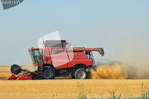 Image of Harvesting combine in the field